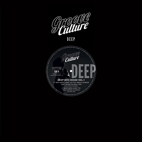 Deep Into House Vol.1