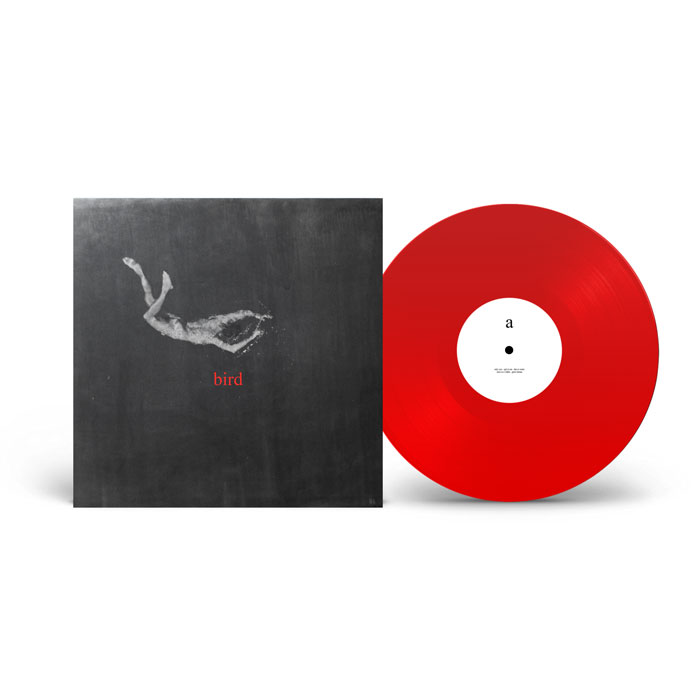 Low Island - bird