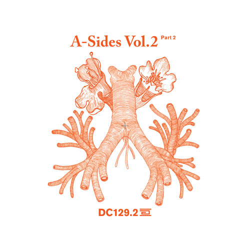 A Sides Volume II Pt 2